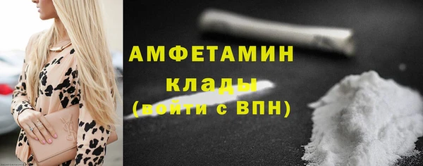 мдпв Верея