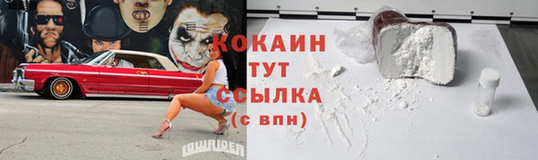 мдпв Верея