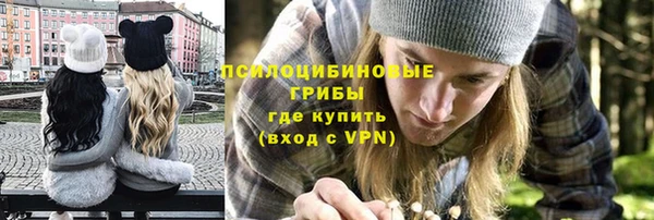 мдпв Верея