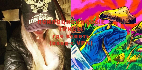 стаф Верхний Тагил