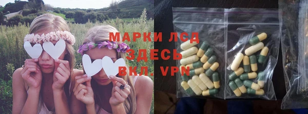 стаф Верхний Тагил